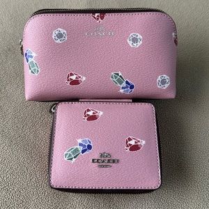 Coach duo travel toiletries bags (Disney X Coach)